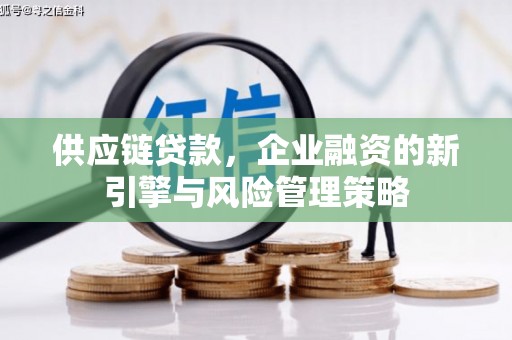盐边供应链贷款，企业融资的新引擎与风险管理策略