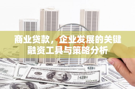 盐边商业贷款，企业发展的关键融资工具与策略分析
