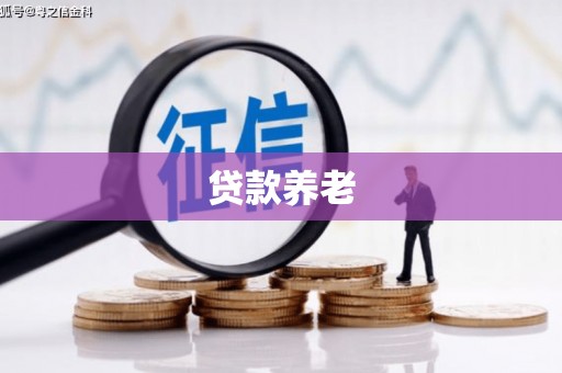 盐边贷款养老