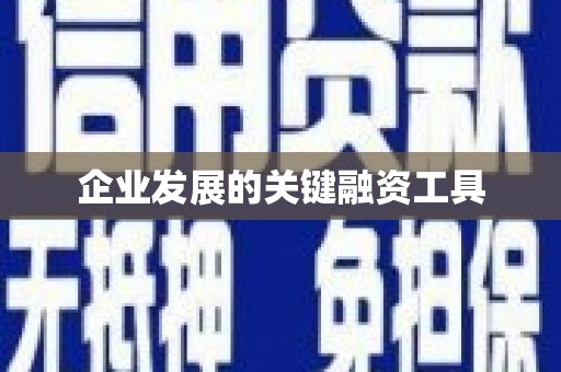 盐边企业发展的关键融资工具