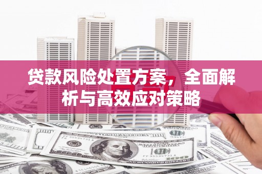 盐边贷款风险处置方案，全面解析与高效应对策略