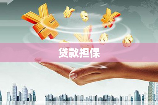 盐边贷款担保