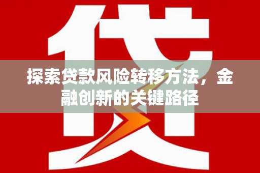 盐边探索贷款风险转移方法，金融创新的关键路径