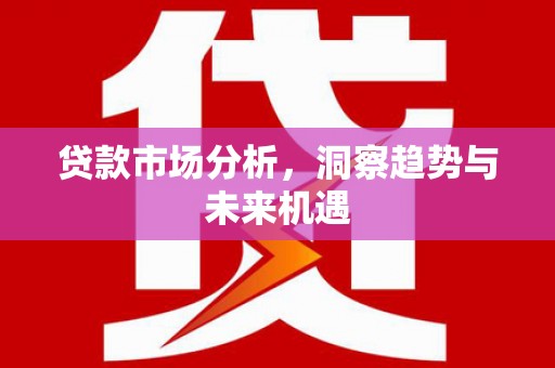 盐边贷款市场分析，洞察趋势与未来机遇