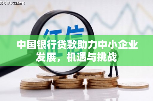 盐边中国银行贷款助力中小企业发展，机遇与挑战
