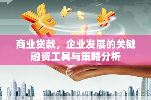 盐边商业贷款，企业发展的关键融资工具与策略分析