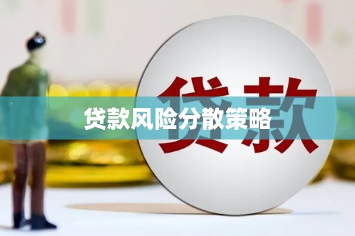 盐边贷款风险分散策略