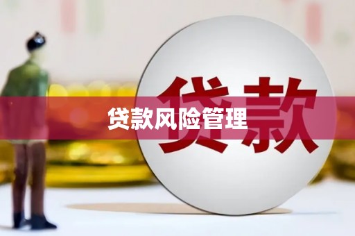 盐边贷款风险管理