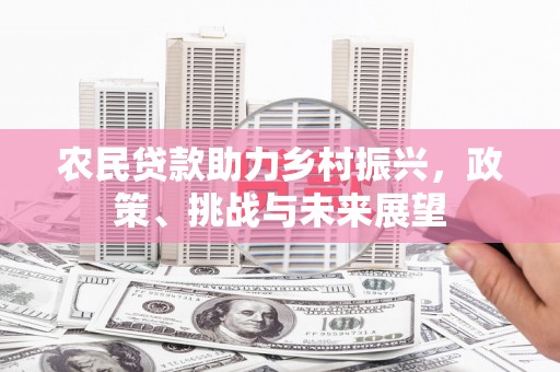 盐边农民贷款助力乡村振兴，政策、挑战与未来展望