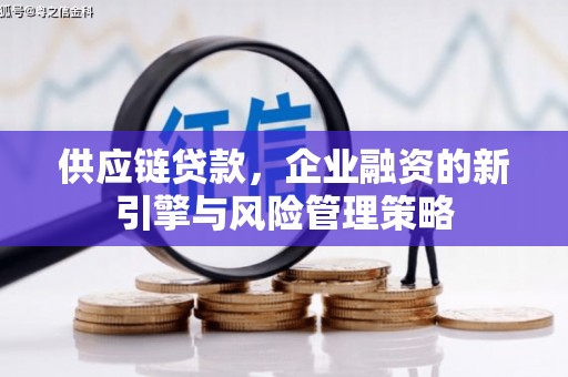 盐边供应链贷款，企业融资的新引擎与风险管理策略