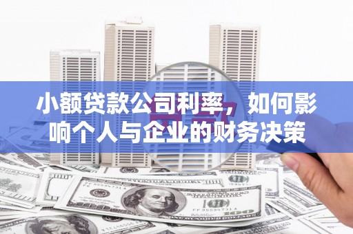 盐边小额贷款公司利率，如何影响个人与企业的财务决策