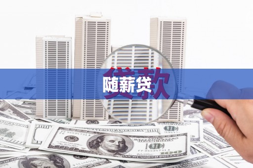 盐边随薪贷