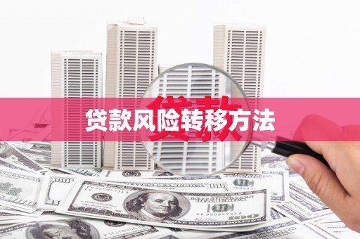 盐边贷款风险转移方法