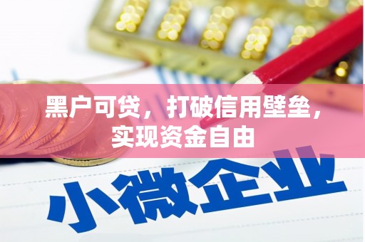 盐边黑户可贷，打破信用壁垒，实现资金自由