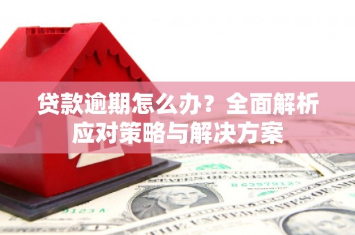 盐边贷款逾期怎么办？全面解析应对策略与解决方案