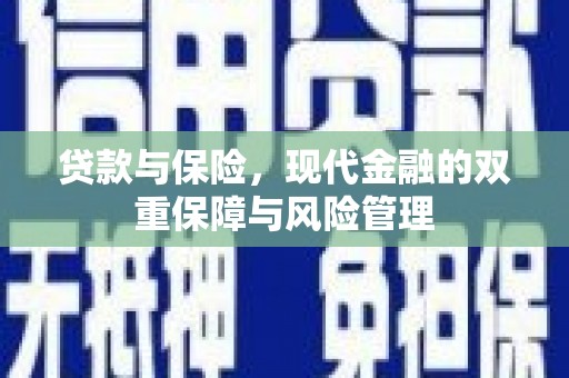 盐边贷款与保险，现代金融的双重保障与风险管理