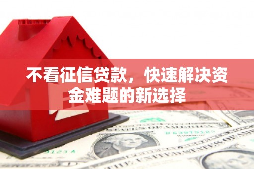 盐边不看征信贷款，快速解决资金难题的新选择