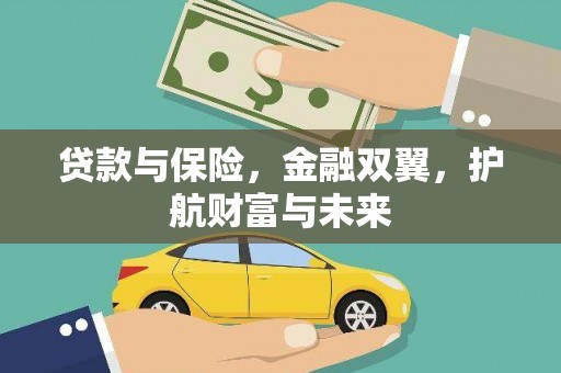 盐边贷款与保险，金融双翼，护航财富与未来