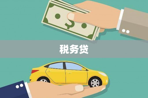 盐边税务贷