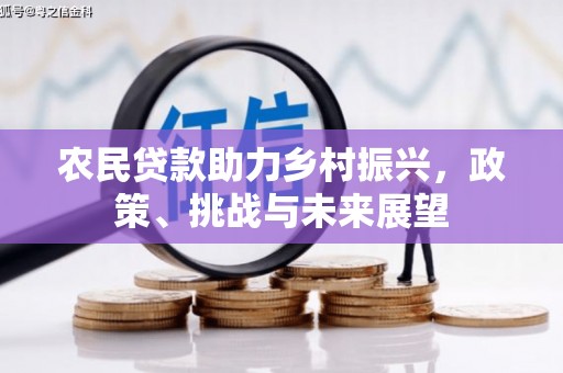 盐边农民贷款助力乡村振兴，政策、挑战与未来展望