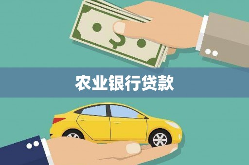 盐边农业银行贷款