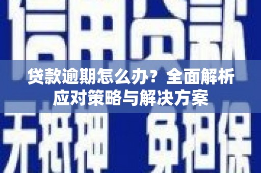 盐边贷款逾期怎么办？全面解析应对策略与解决方案