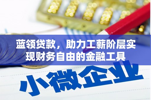 盐边蓝领贷款，助力工薪阶层实现财务自由的金融工具