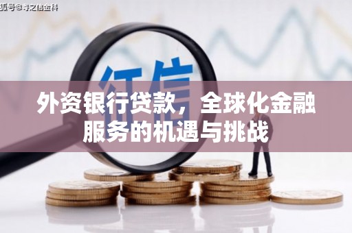 盐边外资银行贷款，全球化金融服务的机遇与挑战