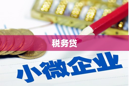 盐边税务贷