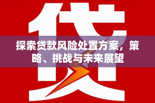盐边探索贷款风险处置方案，策略、挑战与未来展望