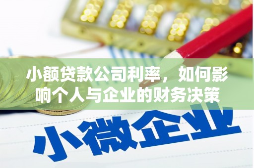 盐边小额贷款公司利率，如何影响个人与企业的财务决策
