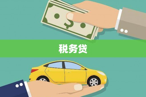 盐边税务贷