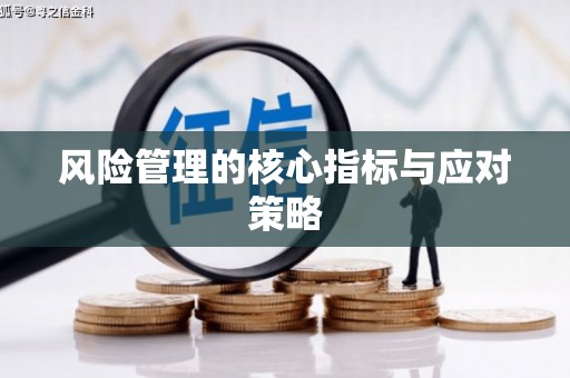 盐边风险管理的核心指标与应对策略