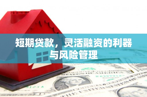盐边短期贷款，灵活融资的利器与风险管理