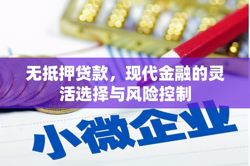 盐边无抵押贷款，现代金融的灵活选择与风险控制