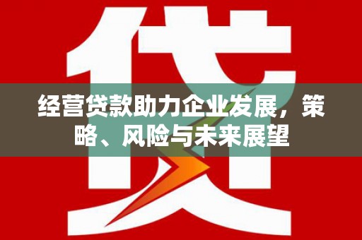 盐边经营贷款助力企业发展，策略、风险与未来展望