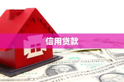 盐边信用贷款