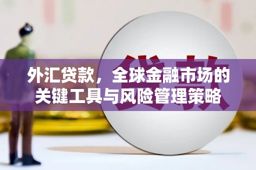 盐边外汇贷款，全球金融市场的关键工具与风险管理策略