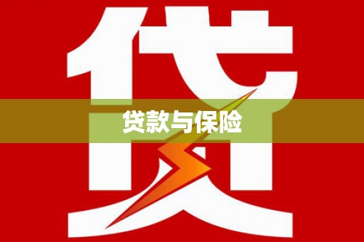 盐边贷款与保险