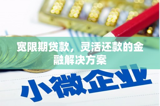 盐边宽限期贷款，灵活还款的金融解决方案