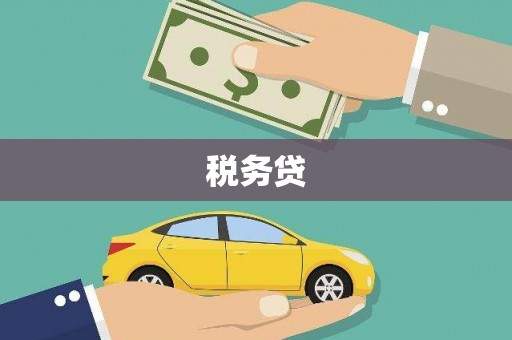 盐边税务贷