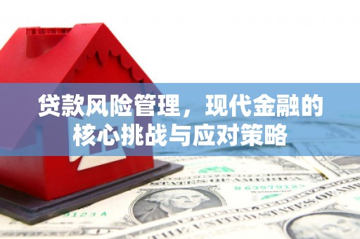 盐边贷款风险管理，现代金融的核心挑战与应对策略
