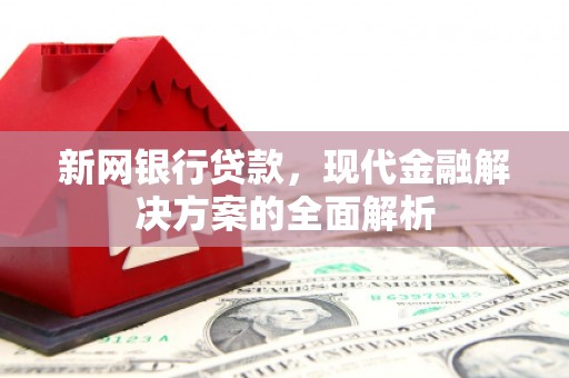盐边新网银行贷款，现代金融解决方案的全面解析