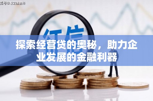 盐边探索经营贷的奥秘，助力企业发展的金融利器