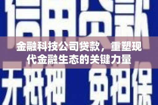 盐边金融科技公司贷款，重塑现代金融生态的关键力量