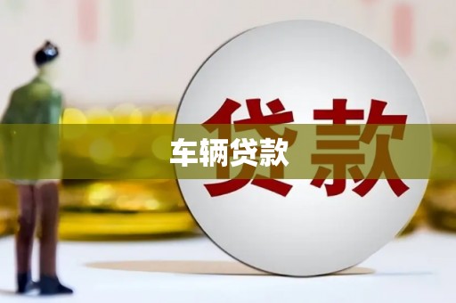 盐边车辆贷款