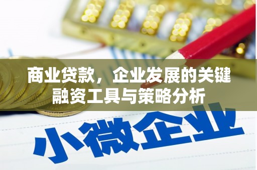 盐边商业贷款，企业发展的关键融资工具与策略分析