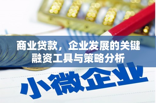 盐边商业贷款，企业发展的关键融资工具与策略分析