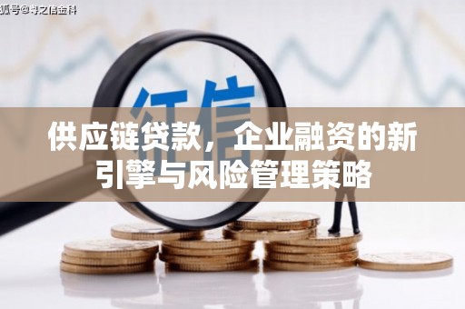 盐边供应链贷款，企业融资的新引擎与风险管理策略