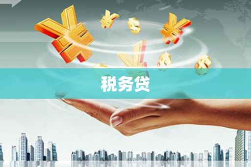 盐边税务贷